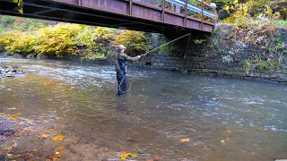 Is this the BEST way to catch Trout??