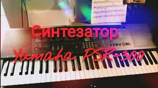 Древний японский синтезатор Yamaha PSR-300 #4