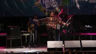 Reginaldo Rossi - Se Meu Amor Não Chegar (Ao Vivo em Vitória de Santo Antão-PE, Carnaval 2013)