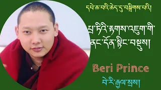 པྲ་ཏི་རྟགས་འཇུག་གི་འཆད་འཁྲིད་ཉིན་མཐའ་མ། ༩༽