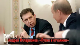 Андрей Илларионов - Отчаяние Путина.