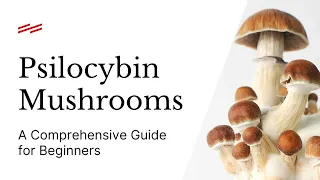 A Comprehensive Guide to Psilocybin Mushrooms for Beginners