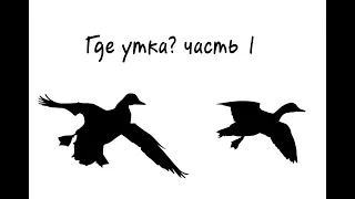 Где утка?  Как работает спаниель 3 лебедя.