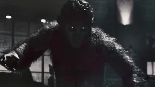 Werewolf by Night Short Tribute💀🎃👻(Animals)⛔️Flashing Light Warning!!!⛔️