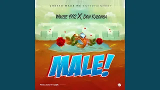 Male (feat. Don kalonga)