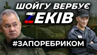 Розбиті морпіхи під Вугледаром. Шойгу вербує в армію зеків. Чмобіки бояться вояк ДНР | ЗА ПОРЕБРИКОМ