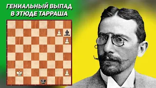 Неожиданный выпад. Этюд Зигберта Тарраша 1921 год. Шахматная композиция. Шахматные этюды с решениями