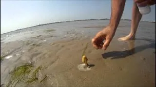 Comment capturer un couteau dans le sable avec du sel