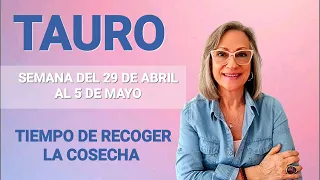 TAURO /TIEMPO DE RECOGER LA COSECHA