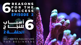 6 Reasons For The Success E2 | Saltwater Aquariums For Beginners