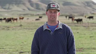 Van Lith Ranch - Payette, Idaho - Origin Story