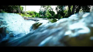 River Raisin Legacy Project Mini Documentary 2019 ~