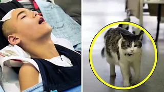 Die Katze wollte unbedingt zu den Patienten, doch was die Ärzte herausfanden war schockierend.