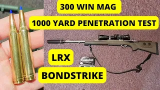 300 Win Mag 1000 Yard Penetration/Expansion Test - Barnes LRX & Norma Bondstrike