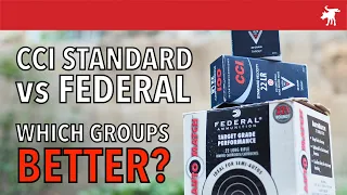 CCI Standard vs Federal Auto Match: Ruger 10/22 TD test