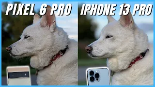 Google Pixel 6 Pro vs iPhone 13 Pro Camera Comparison