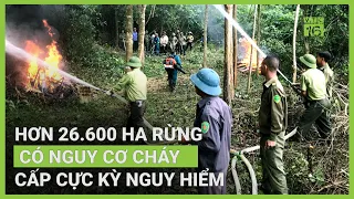 Nắng nóng kỷ lục, hơn 26.600 ha rừng nguy cơ cháy cấp cực kỳ nguy hiểm | VTC61