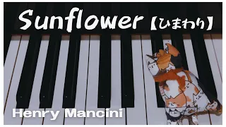「Sunflower ( I Girasoli )  /  Henry Mancini」piano  Loss of Love【yosamama_piano】