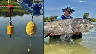 Rybaření tolstolobíka na feeder a na plavanou