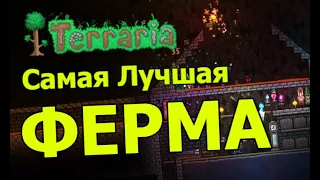 ЛУЧШАЯ АФК ФЕРМА В ТЕРРАРИИ или же КАК ЗАФАРМИТЬ ВЕСЬ ХАРДМОД ЗА 20 МИНУТ