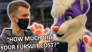 Normies Invading Furry Conventions...