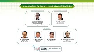 Strategies Used for Stroke Prevention in Atrial Fibrillation