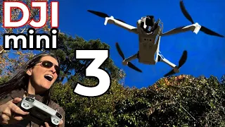 DJI mini 3 vs mini 3 PRO ¿Qué DRONE ligero ELEGIR?