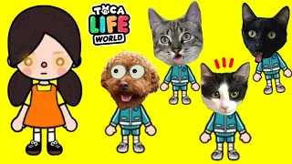 ¿Quien gana el juego del calamar gato o perro? pero en toca boca life world con Luna y Estrella