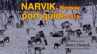 Narvik Guide - Winter Fjords Cruise