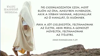 NAPI HANGZÓ BIBLIA - 05.08. - 128. RÉSZ - 1Sám 2,22-4,22; Jn 5,24-47; Zsolt 106,1-12; Péld 14,30-31