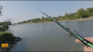 თევზაობა ალაზნის შამაიაზე - Fishing on the Danube bleak