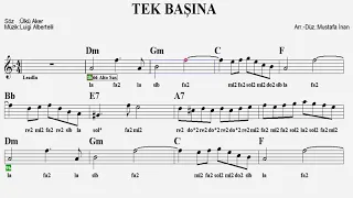 TEK BAŞINA--Dm--:Guitar,Violin,Keyboard,Flute,Ukulele,Melodica,Recorder,Accordeon.