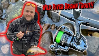 Wild River Brown Trout on Lures!! Bonus SeVIIn GSS750 Reel Unboxing!