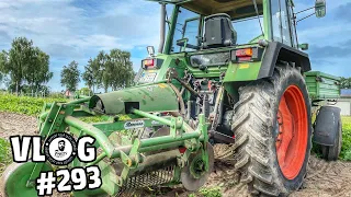 vlog293: Kartoffeln roden mit dem Fendt F360 GT 💪