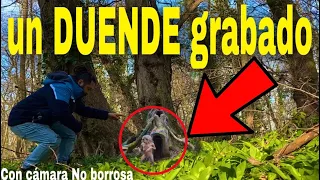 Duendes grabados dentro de su casita con cámara No borrosa ( nuevo vídeo viral )