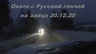 Охота с Русской гончей на зайца 20 12 20