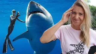 Should Ocean Ramsey have touched the Great White Shark?