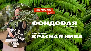 Москва: Главный ботанический сад, Фондовая оранжерея, садовый центр «Красная Нива»