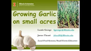 Growing Garlic on Small Acres