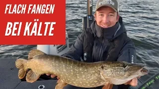 Wo stehen die Hechte bei Kälte?- Angeln im Flachwasser mit Jerkbaits im Herbst