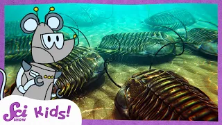 Mysterious Trilobites! | The History of Life! | SciShow Kids