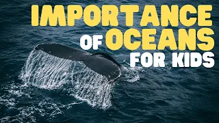 Importance of Oceans for Kids | Learn why Earth's oceans are so significant