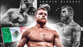 Canelo Alvarez Highlights The Face Of Boxing