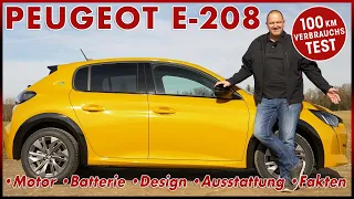 2022 Peugeot e-208 100 km Verbrauch Test | Batterie Reichweite Laden Motor Preis Daten Review