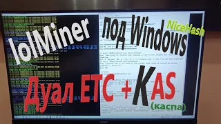 lolMiner / Дуал ETC + KAS / под Windows / NiceHash