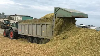 Уборка кукурузы на силос. Крестьянское хозяйство Михаила Шруба