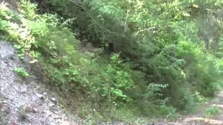 Bluff Creek Expedition 2008 part 2