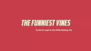 TRY NOT TO LAUGH (Hardest version)_Cat-Dog version funniest vines 2017