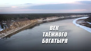 Live: Югра меняется. Век таежного богатыря. 10:00  18.11.2023г.