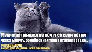 Мужчина пришел на почту с британским котом. Озлобленная толпа отреагировала неоднозначно